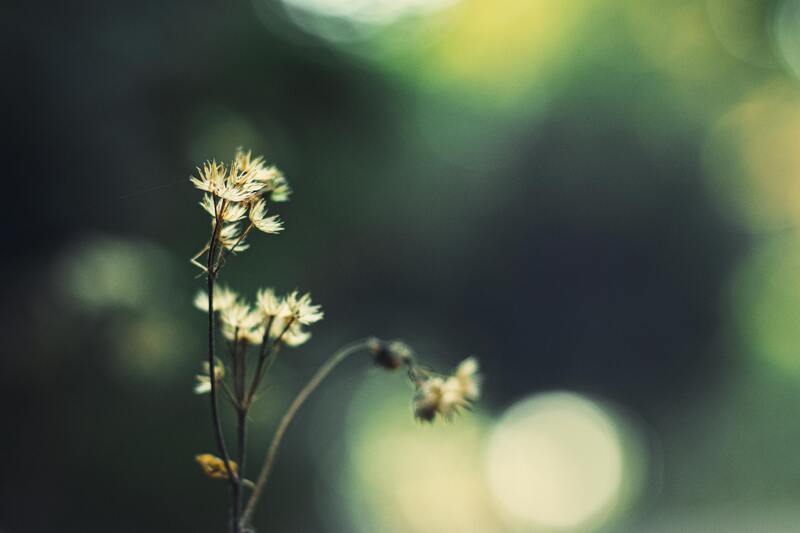 green hr
